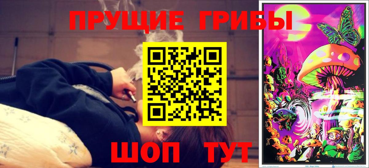 Галлюциногенные грибы мицелий  купить наркоту  Галлюциногенные грибы Psilocybe  Ростов Великий  Вход с VPN 